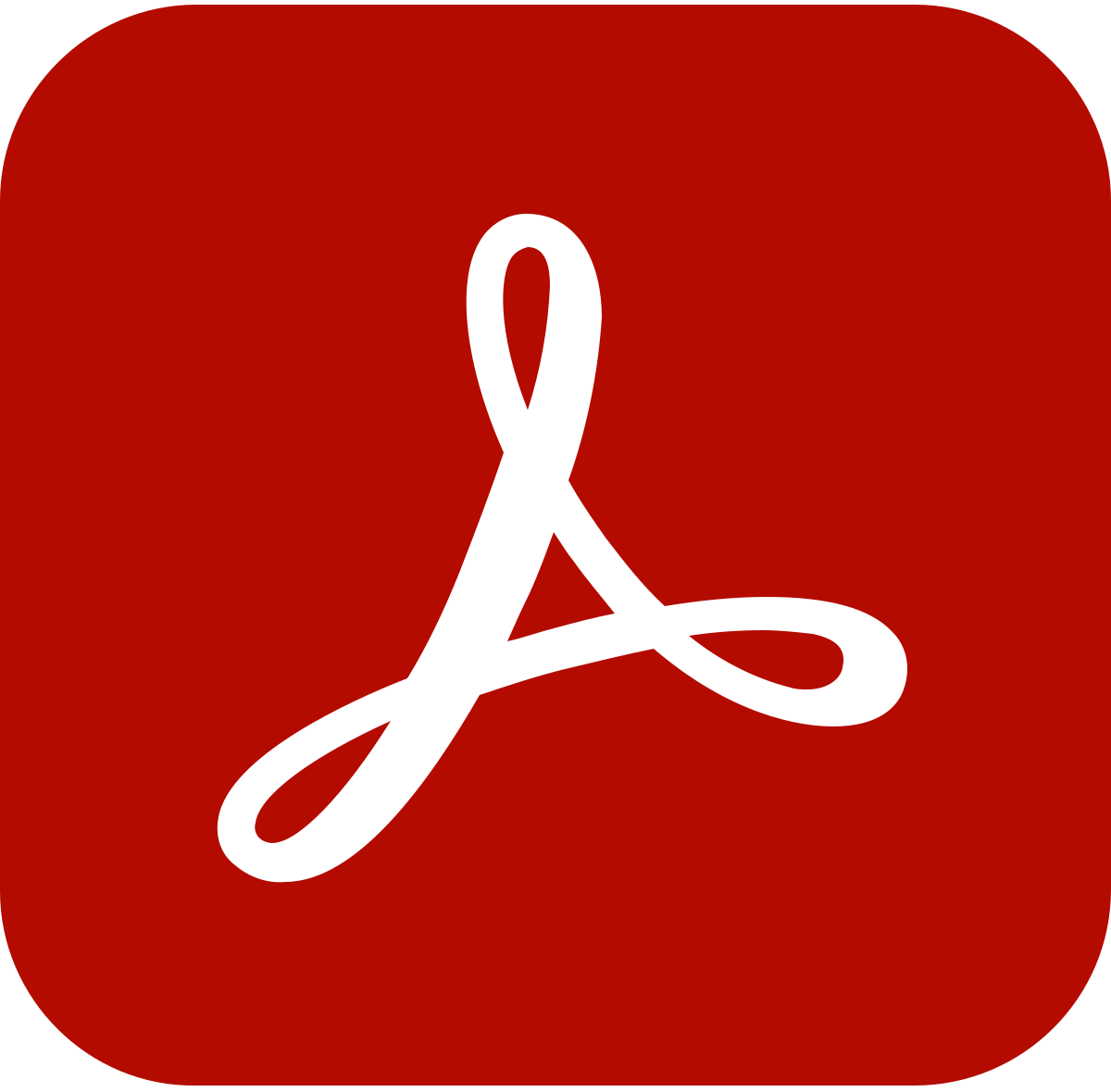 Adobe Reader